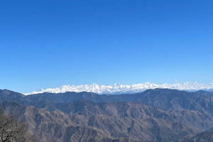Mussoorie: Skogsvandring i Himalaya med en naturguide