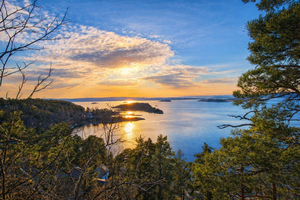 OsloFjord: Malmøya beautiful Island Guided Hike-Waffle&Drink