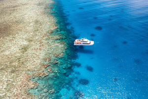Port Douglas: Nurkowanie i snorkeling na zewnętrznej części Wielkiej Rafy Koralowej z Poseidonem