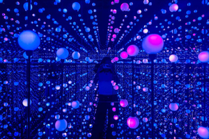 Porto: Wondersense – Museet for de 5 sansene