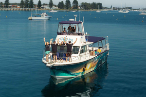 Rockingham: Whale Watching Tour