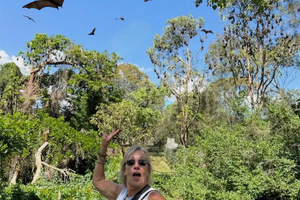 Sydney: Flying Fox Tour, Australian suurimmat lepakot
