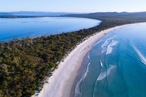 Triabunna: Wyspa Maria i Ile Des Phoques - 1-dniowa wycieczka łodzią