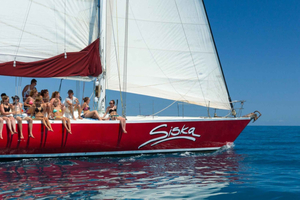 Isole Whitsunday: avventura di 2 giorni all'insegna del divertimento e della socialità