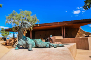 Winton: Age of Dinosaurs -museo: puolen päivän opastettu kierros ja kuljetus