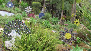 Eungella National Park –  Land of the Clouds