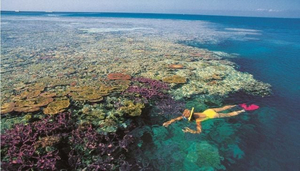 Exploring the Great Barrier Reef