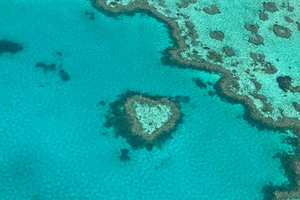 Explore Whitsundays' Vibrant Coral Reefs: A Spring Snorkeling Adventure