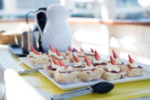 Brisbane: Cruise to Lunch Package: 10:30am-2pm (3.5hr)