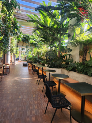 Byron Bay Oyster Bar & Seafood Restaurant