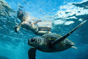 Byron Bay: Snorkeling Tour at Julian Rocks, Nguthungulli
