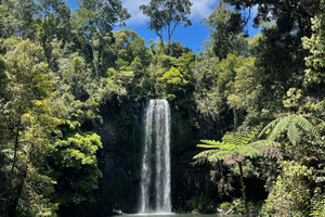 Cairns: Paronella, Lake Barrine & Millaa Millaa Falls Tour