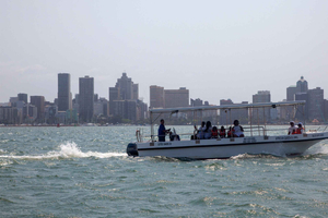 Durban: 1-Hour Boat Cruise from Wilson's Wharf