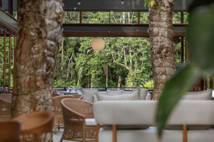 Forest Byron Bay