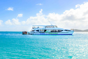 Ab Airlie: Whitsundays und Whitehaven Halbtagesausflug