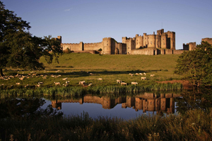 Fra Edinburgh: Holy Island, Alnwick Castle og Northumbria