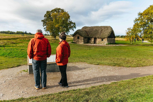 From Inverness: Glen Affric, Culloden, and Clava Cairns Tour