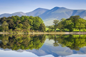 Fra London: Lake District-tur med Cream Tea og cruise
