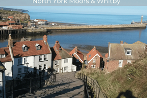 Fra York: Tur til North Moors og Whitby