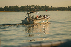 Hilton Head Island: Dolphin Cruise & Nature Tour