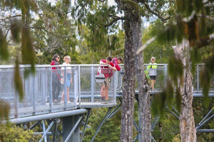 Hokitika: West Coast Treetop Walkway Entrébillet