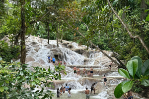 Jamaica: Dunn's River Falls, 9 Mile and Optional Lagoon Tour