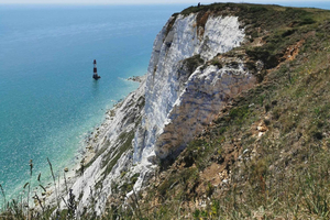 Londres : excursion d'une journée aux falaises blanches de South Downs avec billets de train
