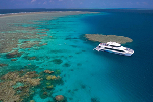 Port Douglas: Dykning og snorkling ved Great Barrier Reef med Silversonic