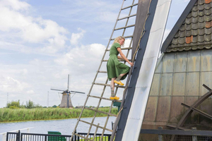 Rotterdam: Kinderdijk UNESCO World Heritage Entry Ticket