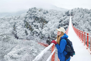 Seoul: DMZ, 3rd Tunnel and Optional Suspension Bridge Tour