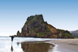Waitakere Ranges Wilderness Experience Tour fra Auckland