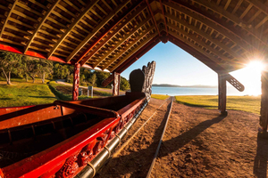 Waitangi Treaty Grounds: 2-Day Pass