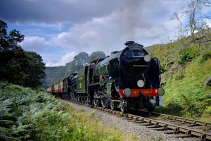 Fra London: North York Moors med damptog til Whitby