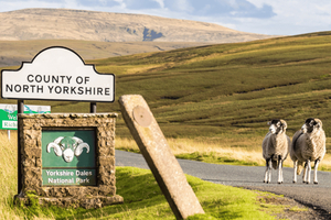 Circuit en voiture dans le parc national des Yorkshire Dales avec une APP