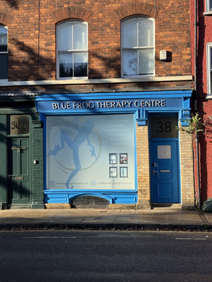 Blue Frog Therapies