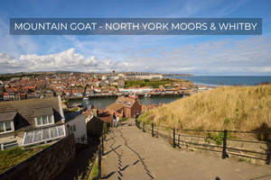 De Excursão a North Moors e Whitby