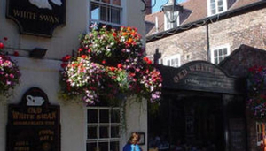 The Old White Swan