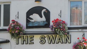The Swan