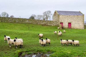 Warmth and Wonder: York's Cozy Winter Experiences