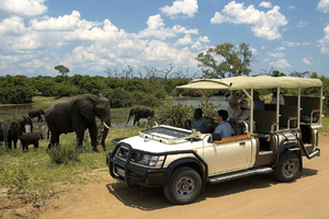 Chobe dagstur fra Victoriafallene