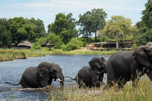Van Victoria Watervallen naar Chobe Nationaal Park, Safari Avontuur