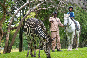 Livingstone: Children's Pony Ride