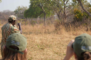 Livingstone: safari nel Mosi-oa-Tunya Park e crociera sullo Zambesi