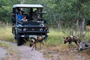 Depuis Lusaka : safari de 4 jours dans le Bas-Zambèze avec repas