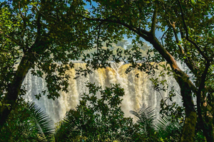 Victoria Falls: Guided Tour of the Victoria Falls