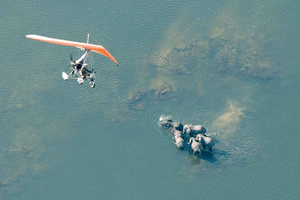 Victorian putoukset: Scenic Microlight Flight