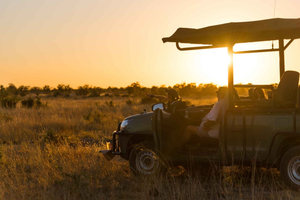 Zambezi National Park Game Drive in a Small Group