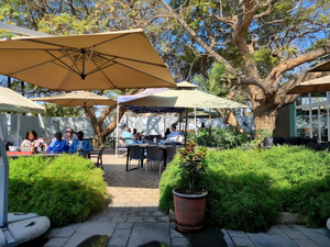 3 Trees Cafe
