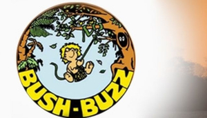 Bush Buzz