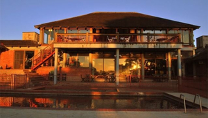 Chaminuka